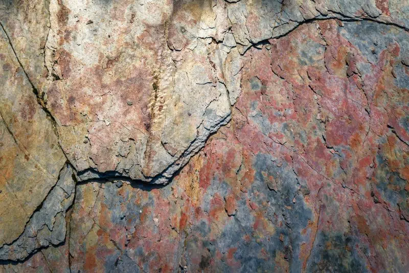 scaly-surfacre-of-a-slate-rock-plate-3RNMCNC-1