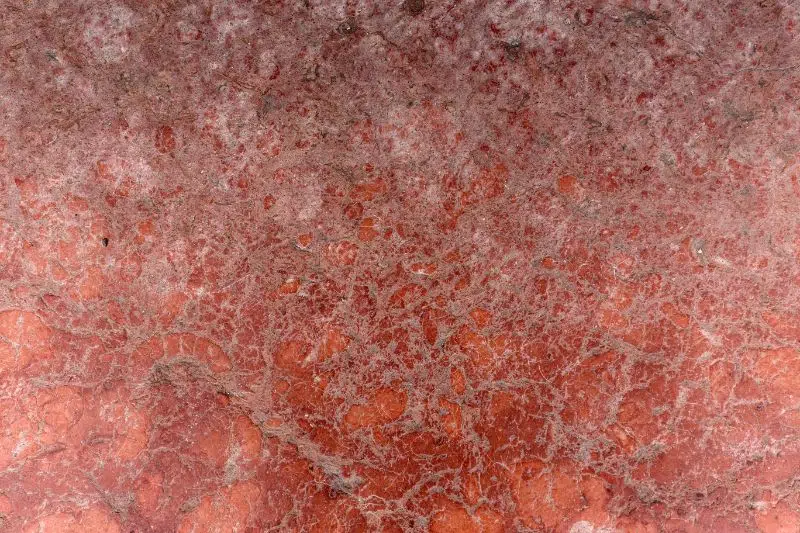 texture-of-red-natural-marble-P6JFMWX-1-1